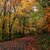 Sandra Ruth Frazier