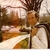 Edward George Tripp